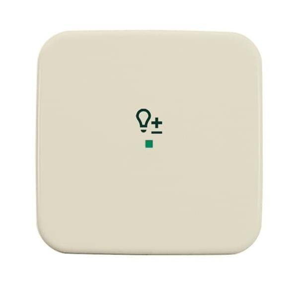 Busch-Jaeger Wippe 1-fach, Symbol Licht 6234-10-212