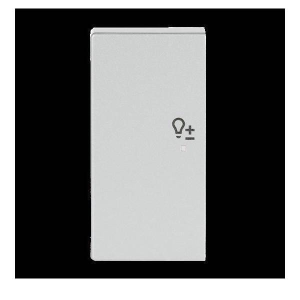 Busch-Jaeger Wippe 2-f li Symbol Dimmer 6234-21-83