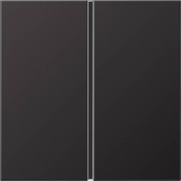 Jung Tastensatz 1-fach AL 2401 TSA D