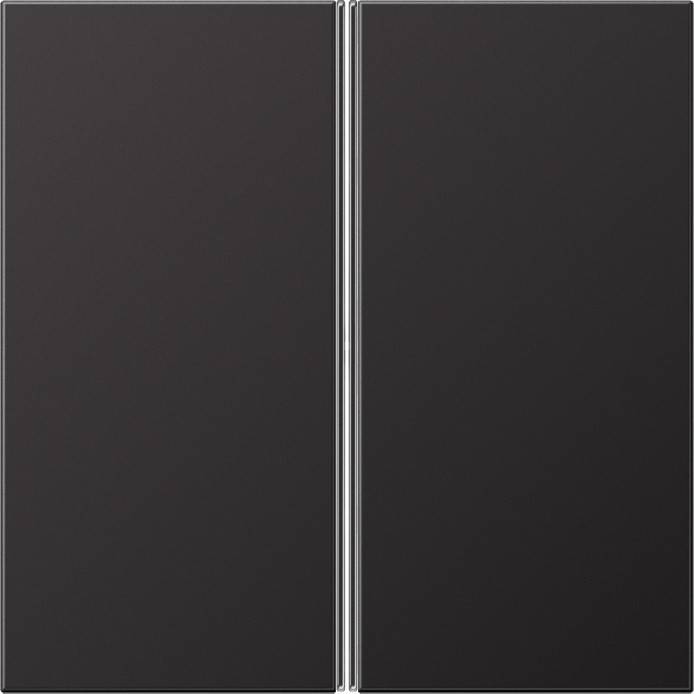 Jung Tastensatz 2-fach AL 2402 TSA D