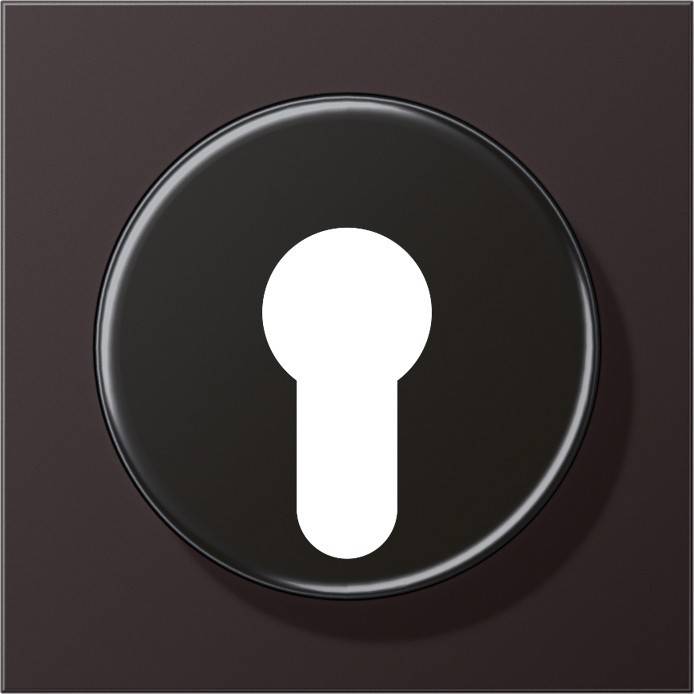 Jung Abdeckung AL 2928 D