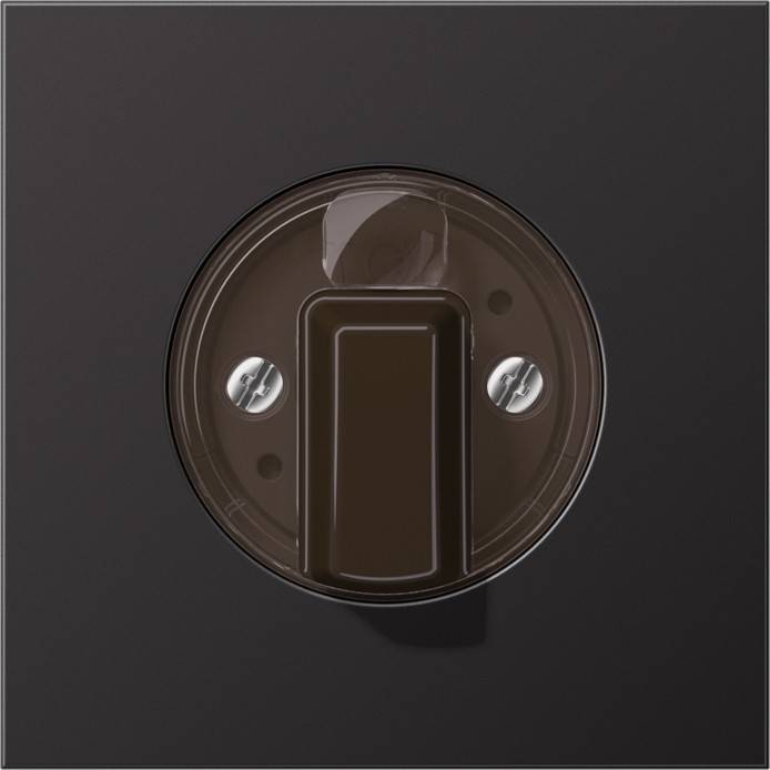 Jung Abdeckung AL 1941 D