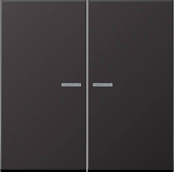 Jung KNX RF Taster 2fach AL 10921 ST RF D