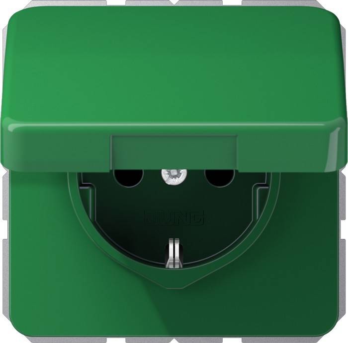 Jung SCHUKO-Steckdose 16A 250V CD 1520 BFKIKL GN