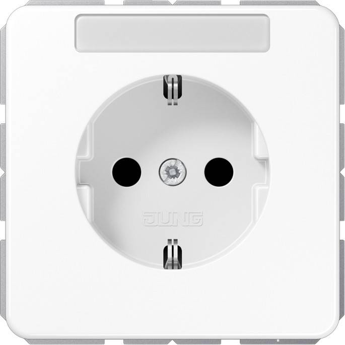 Jung SCHUKO-Steckdose 16A 250V CD 1520 BFNA WW
