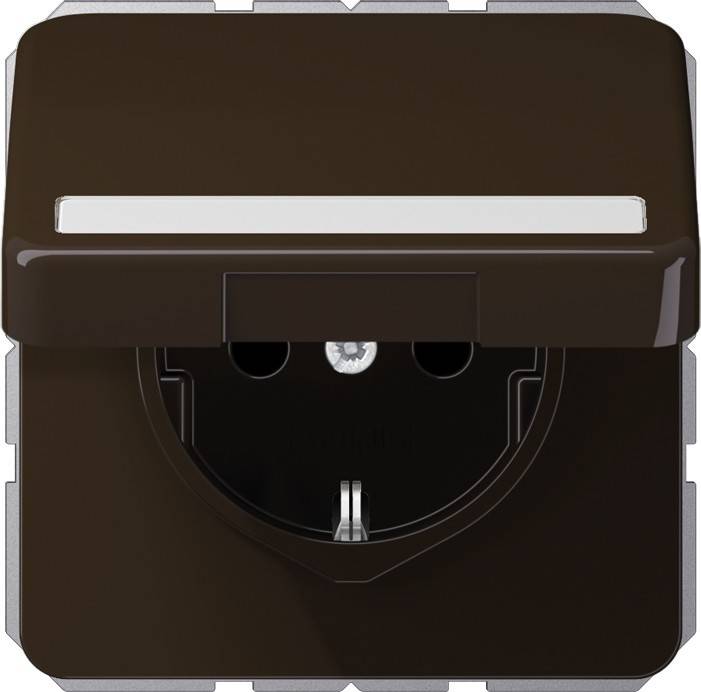 Jung SCHUKO-Steckdose 16A 250V CD 1520 BFNAKL BR