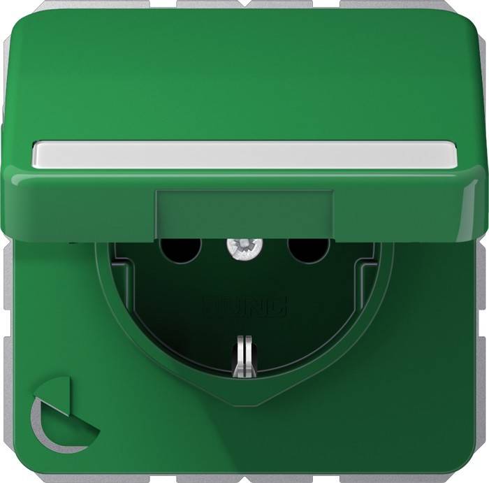 Jung SCHUKO-Steckdose 16A 250V CD 1520 BFNAKL GN