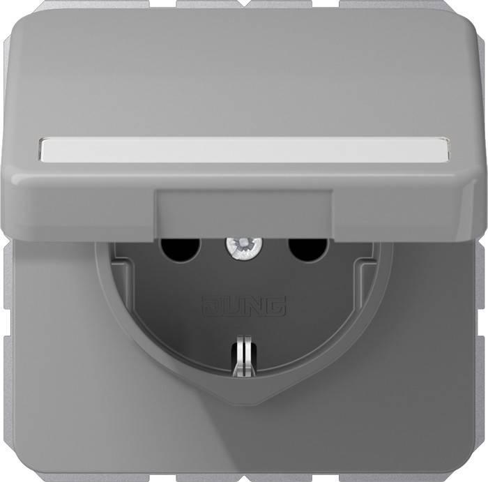 Jung SCHUKO-Steckdose 16A 250V CD 1520 BFNAKL GR