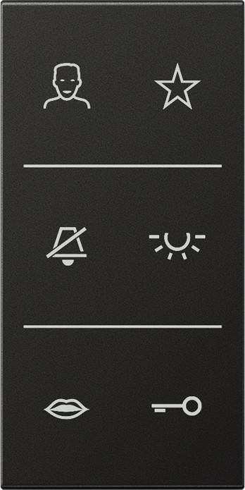 Jung Design-Cover SI V6 AL DC AN