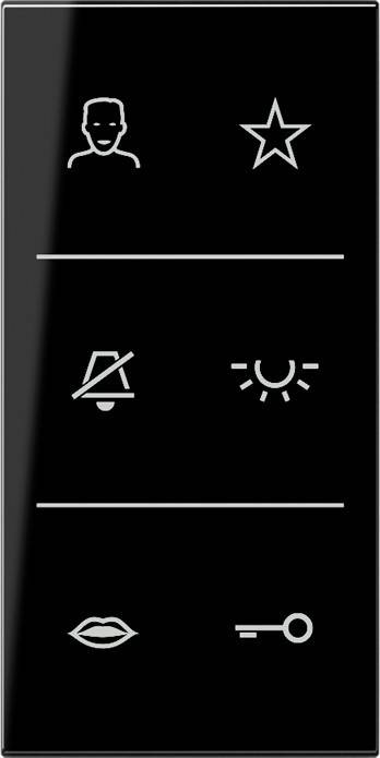 Jung Design-Cover SI V6 LS DC SW