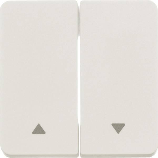 Berker Wippe 2fach mit Aufdruck 30753532