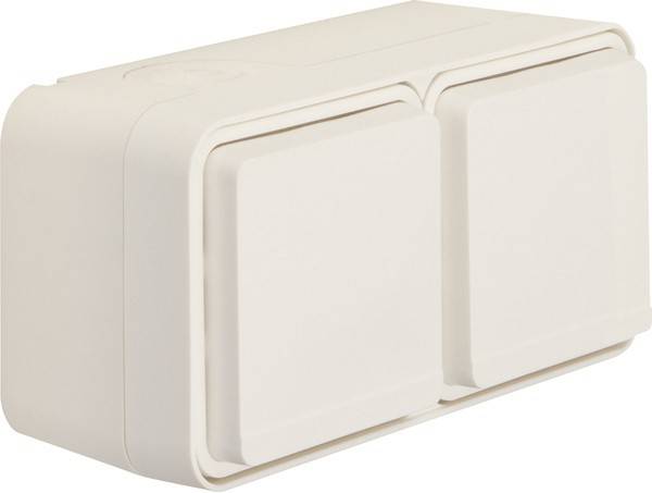 Berker Doppelsteckdose pws 6768823522