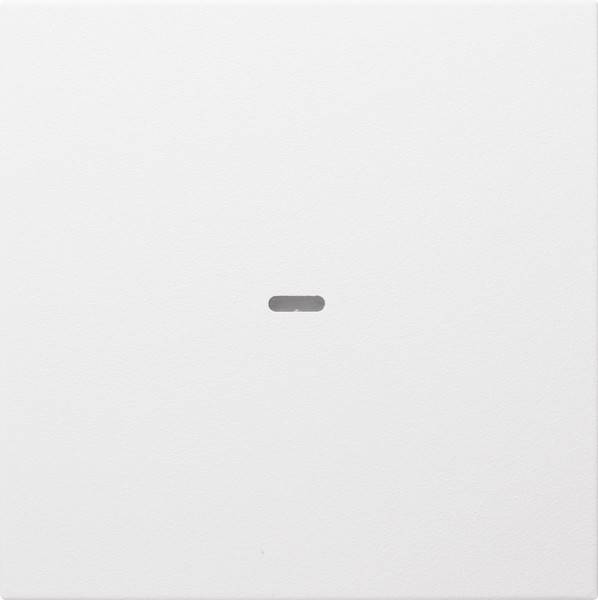 Berker Tast-Abdeckung 1f. pws/mt 80960299