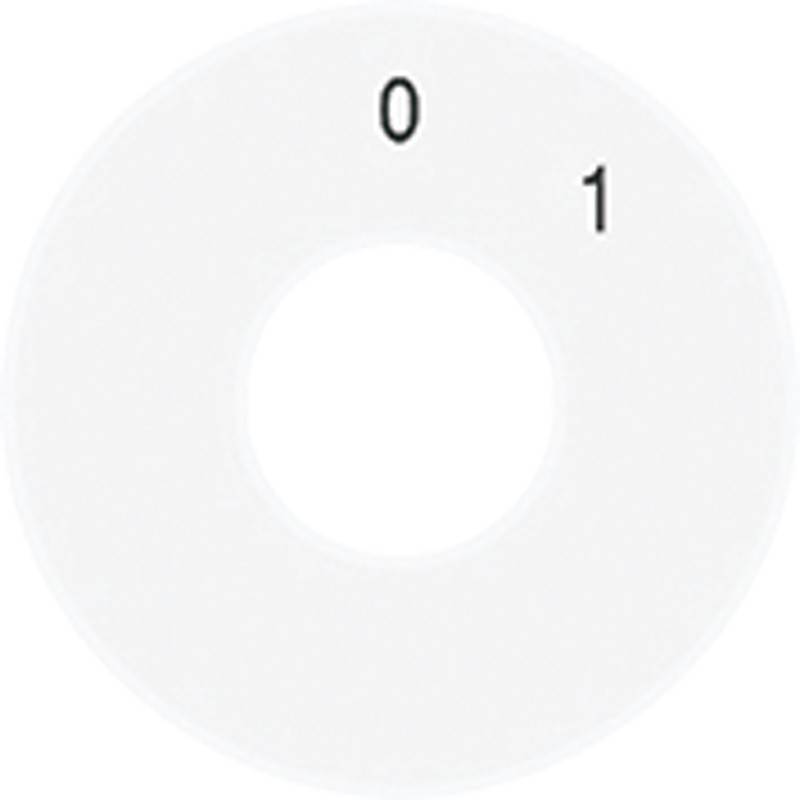 Jung Skalenscheibe SKS 1101-20 WW