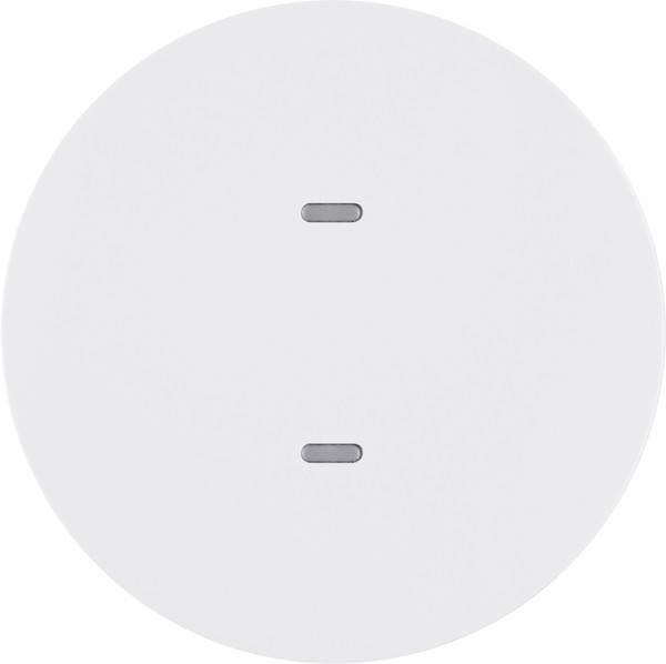 Berker Tastsensor 1f. pws/gl 80161869