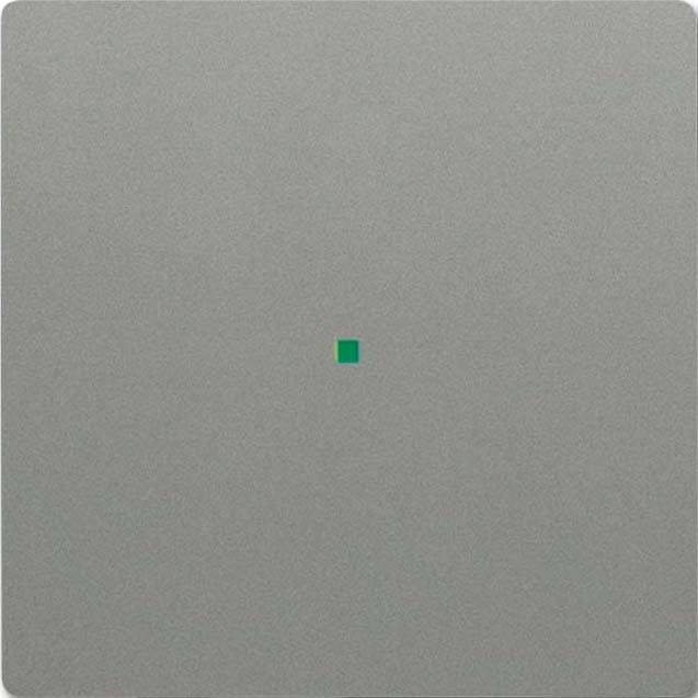 Busch-Jaeger Wippe grau/met 6230-10-803