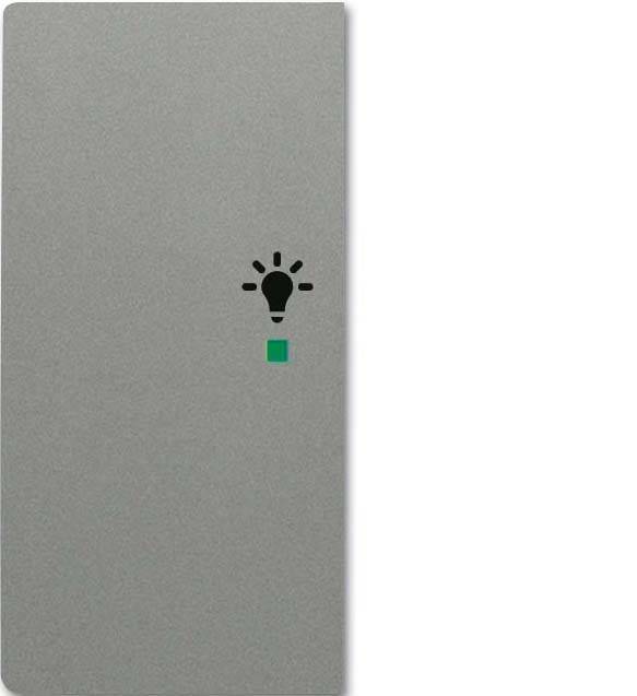 Busch-Jaeger Wippe grau/met 6231-21-803