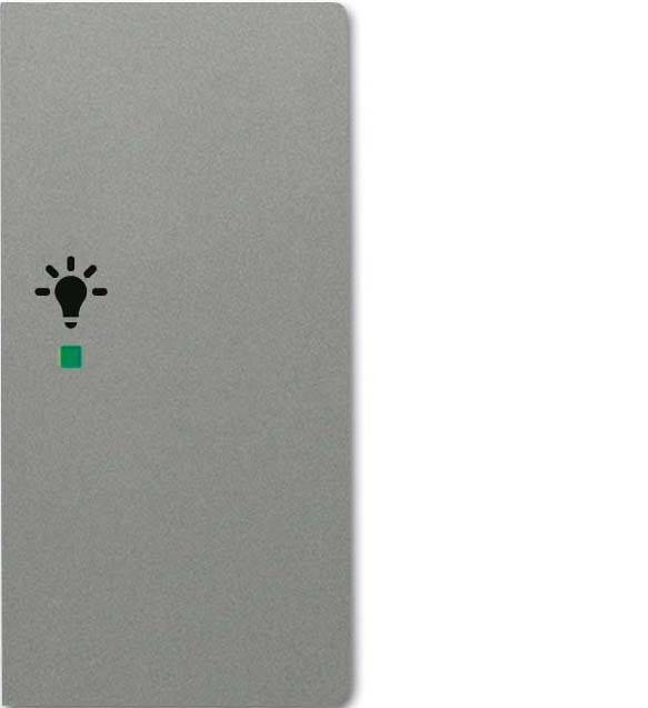 Busch-Jaeger Wippe grau/met 6231-22-803