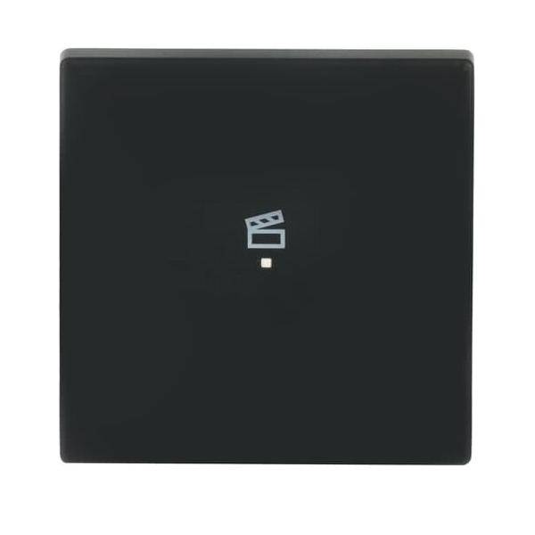 Busch-Jaeger Wippe sw mt 6233-10-885