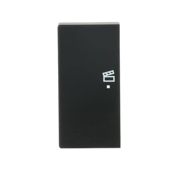 Busch-Jaeger Wippe sw mt 6233-21-885