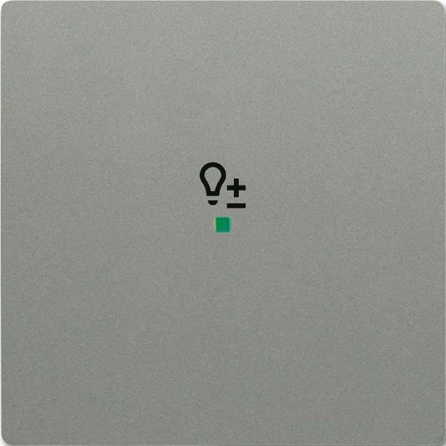 Busch-Jaeger Wippe grau/met 6234-10-803