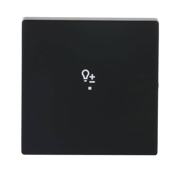 Busch-Jaeger Wippe sw mt 6234-10-885