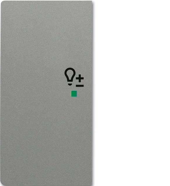 Busch-Jaeger Wippe grau/met 6234-21-803