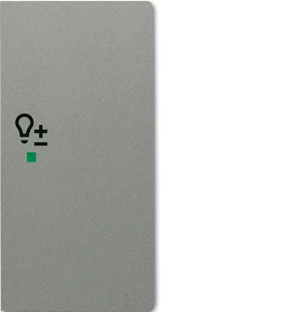 Busch-Jaeger Wippe grau/met 6234-22-803