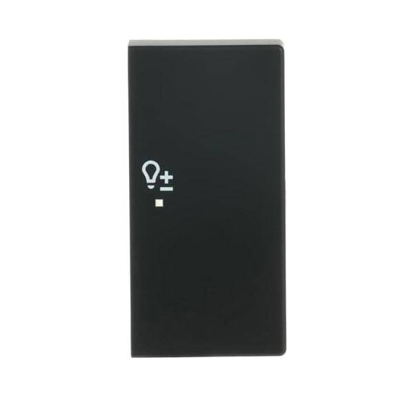 Busch-Jaeger Wippe sw mt 6234-22-885