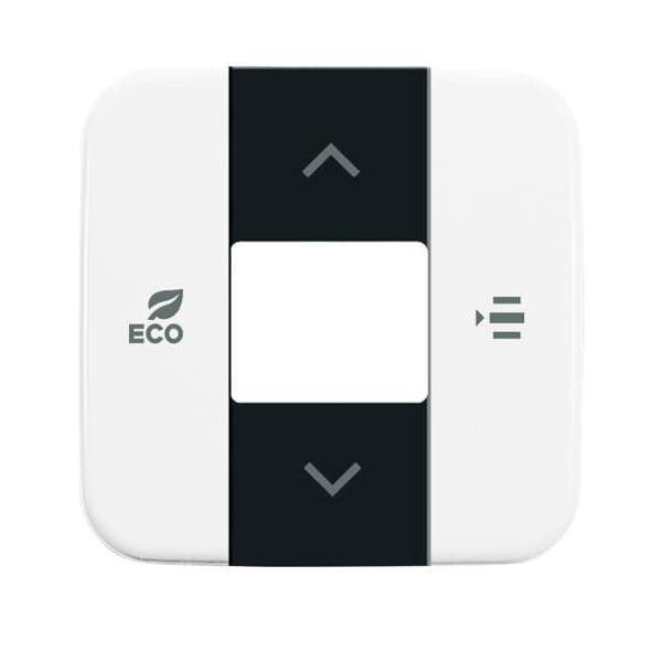 Busch-Jaeger Zentralscheibe alpinws 6236-214