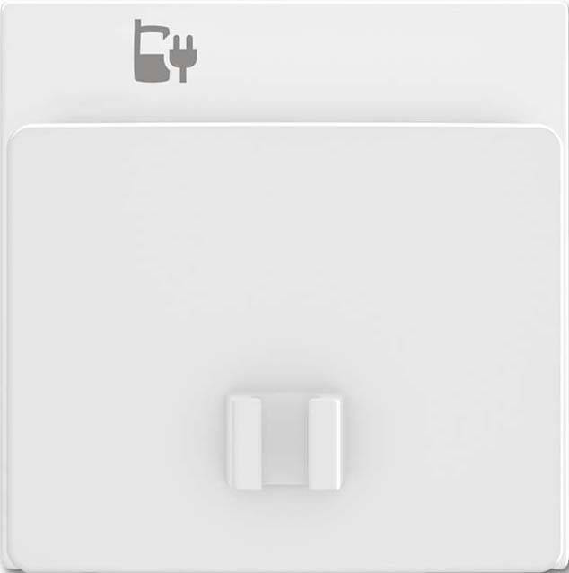 Busch-Jaeger Zentralscheibe alpinws 6478-914