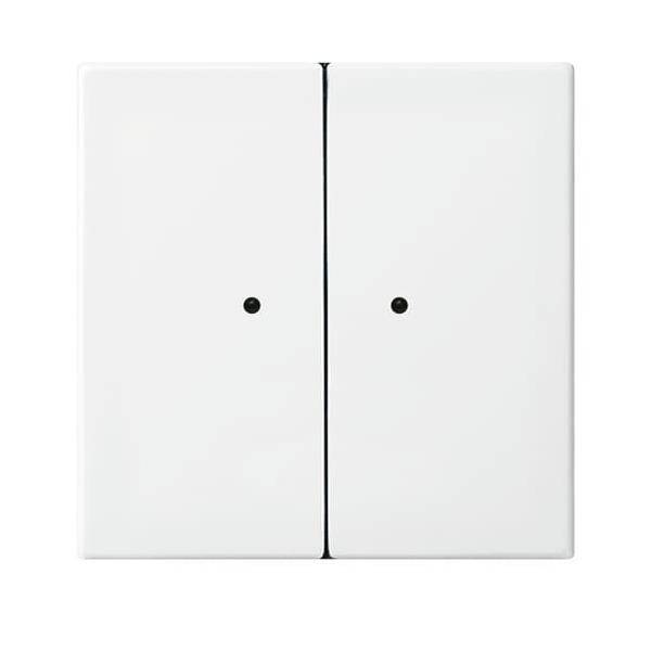 Busch-Jaeger Wandsender 6732-914