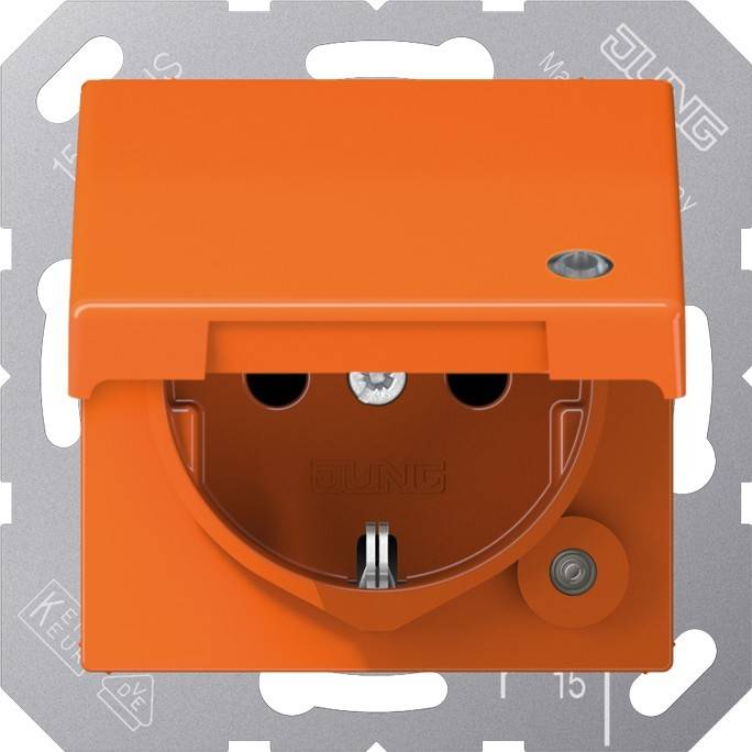 Jung SCHUKO-Steckdose 16A 250V A 1520 BFKLKO O