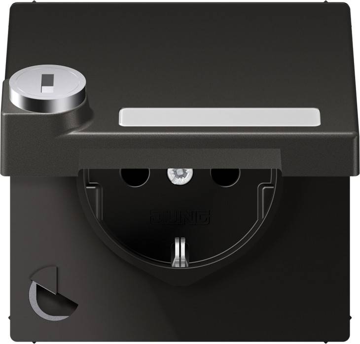 Jung SCHUKO-Steckdose 16A 250V AL 1520 NAKLSL AN
