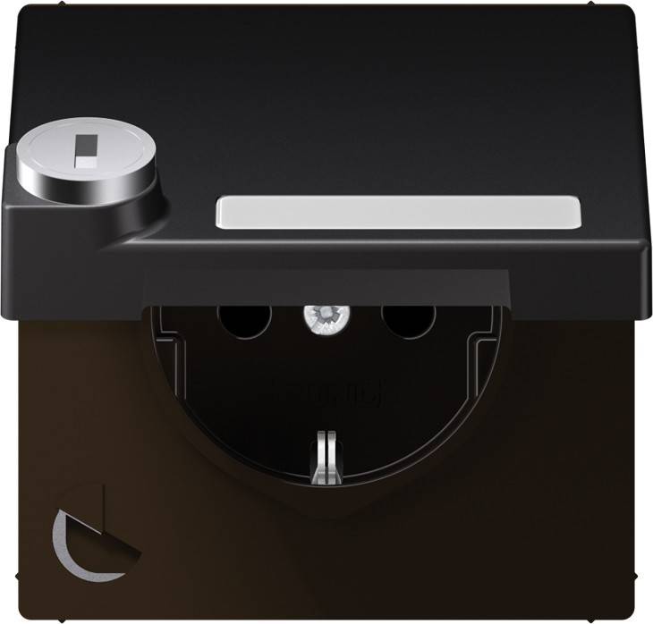 10 Stk. Jung SCHUKO-Steckdose 16A 250V AL 1520 NAKLSL D