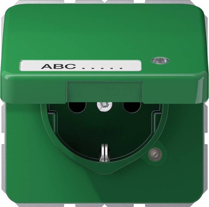 Jung SCHUKO-Steckdose 16A 250V CD 1520 NAKLKO GN