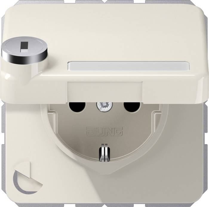 Jung SCHUKO-Steckdose 16A 250V CD 1520 NAKLSL