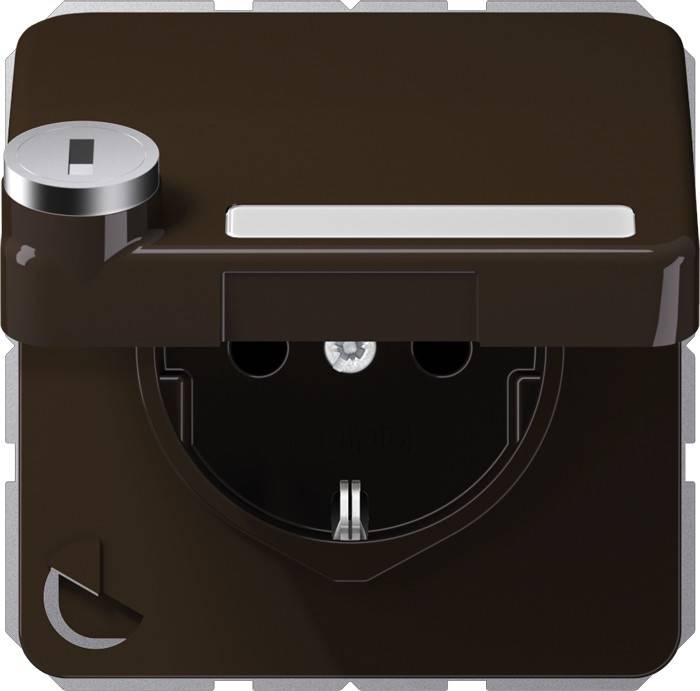 Jung SCHUKO-Steckdose 16A 250V CD 1520 NAKLSL BR