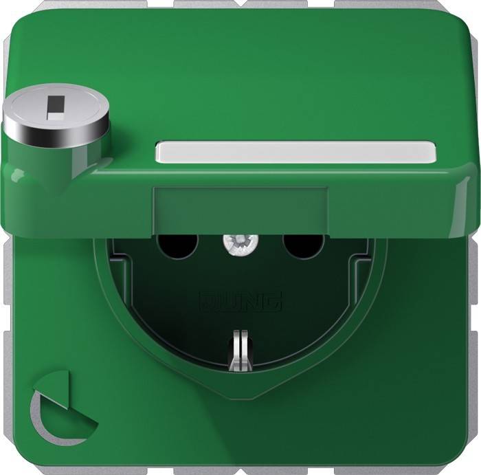 Jung SCHUKO-Steckdose 16A 250V CD 1520 NAKLSL GN