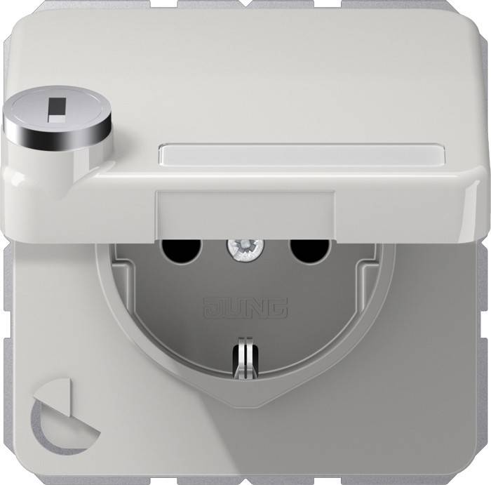 Jung SCHUKO-Steckdose 16A 250V CD 1520 NAKLSL LG