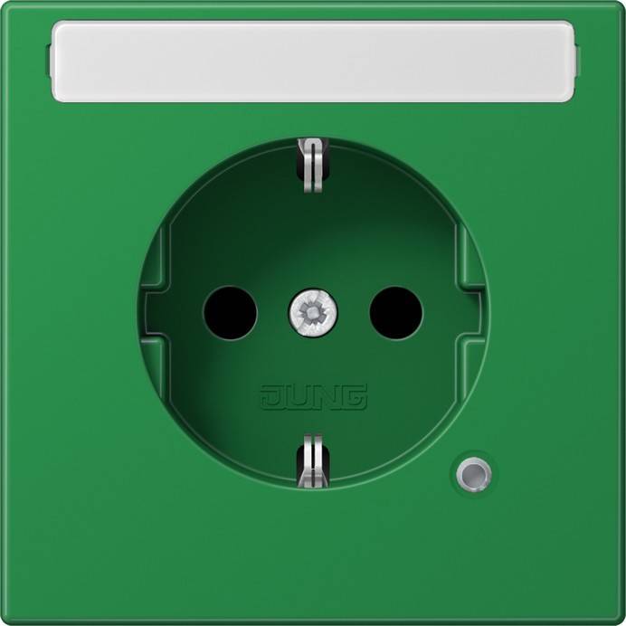Jung SCHUKO-Steckdose 16A 250V LS 1520 BFNAKO GN