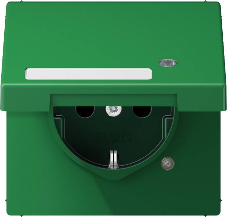 Jung SCHUKO-Steckdose 16A 250V LS 1520 NAKLKO GN