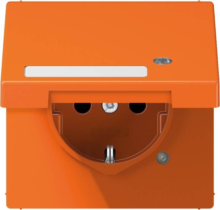 Jung SCHUKO-Steckdose 16A 250V LS 1520 NAKLKO O