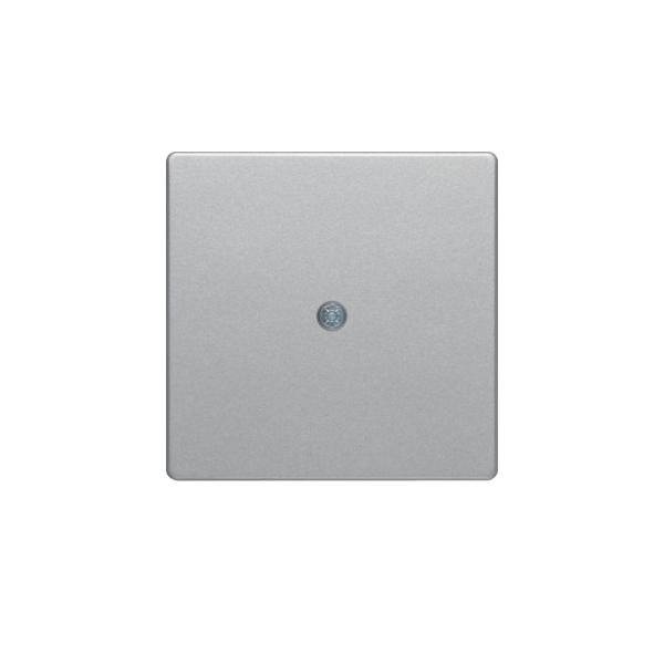 Berker Zentralstück alu/lack 10196084