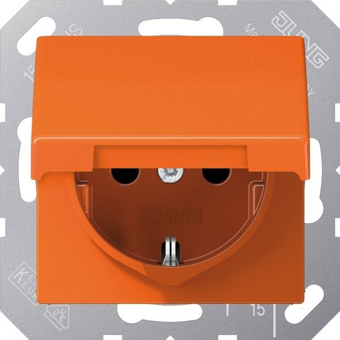 Jung SCHUKO-Steckdose 16 A 250V ABAS 1520 BFKL O