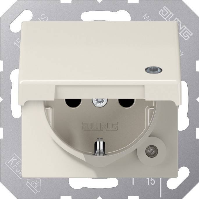 Jung SCHUKO-Steckdose 16 A 250V ABAS 1520 KLKO