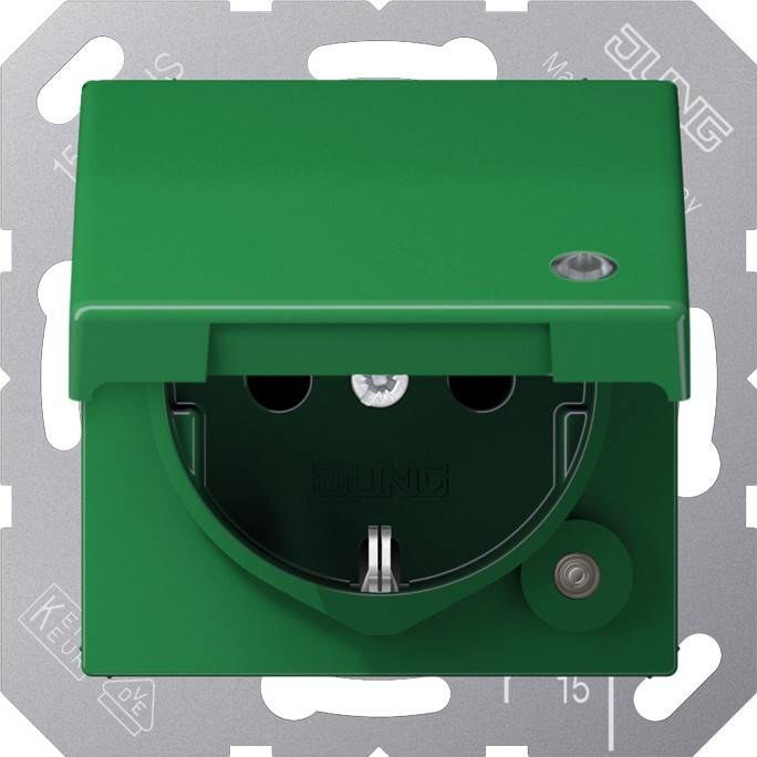 Jung SCHUKO-Steckdose 16 A 250V ABAS 1520 KLKO GN