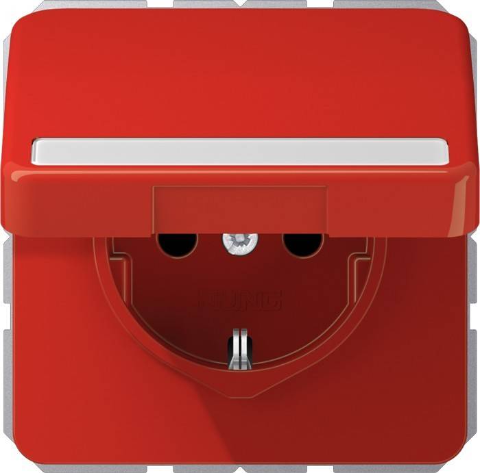 Jung SCHUKO-Steckdose 16 A 250V CD 1520 BFNAKL RT