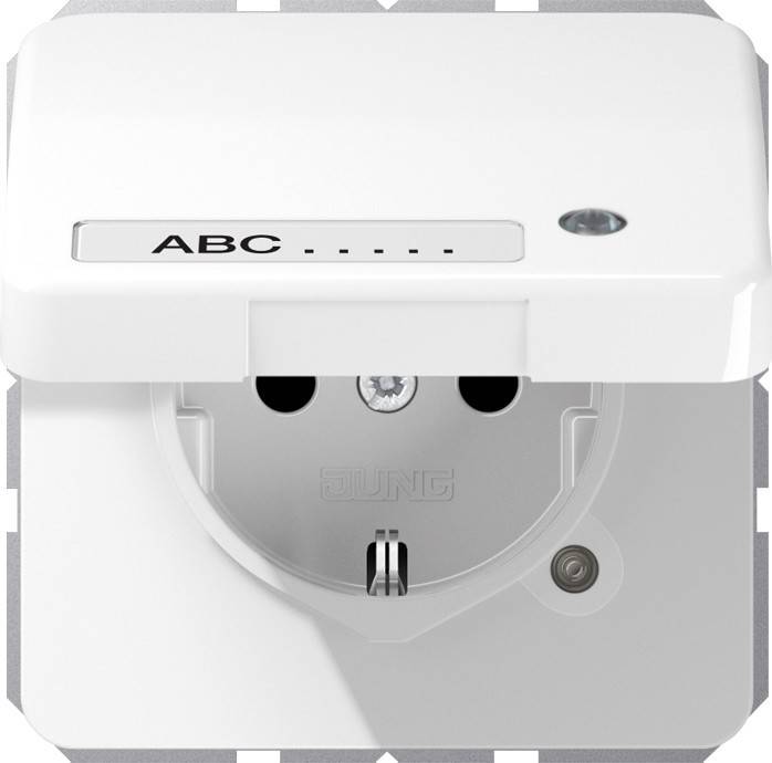 Jung SCHUKO-Steckdose CD 1520 NAKLKO WW