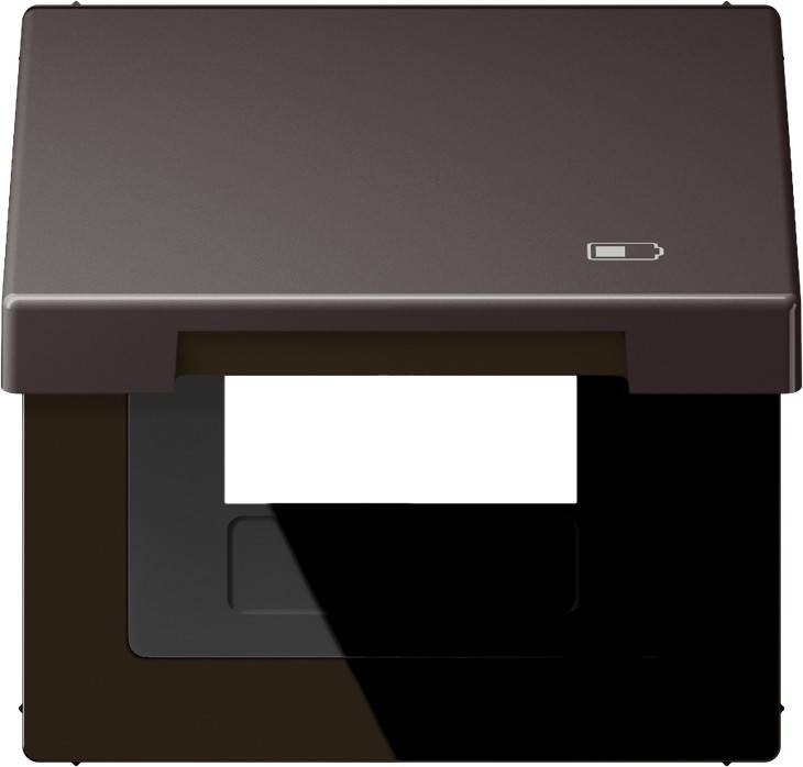 Jung Klappdeckel AL 2990 KL USB D